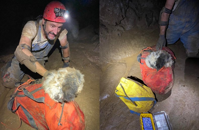 Cave rescue of dog