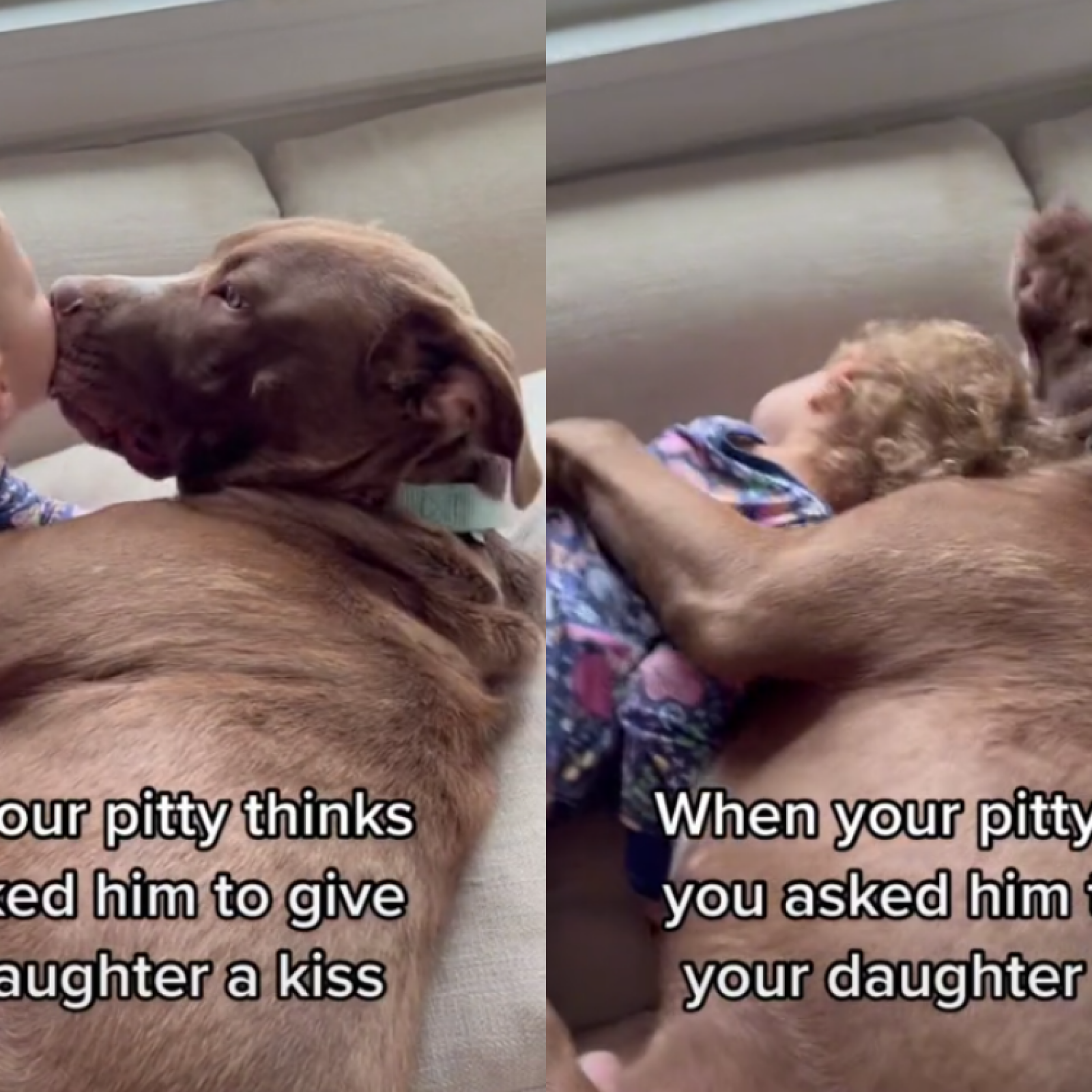 Pit Bull Gives Toddler Kiss and Cuddle in Heartwarming Video: 'So