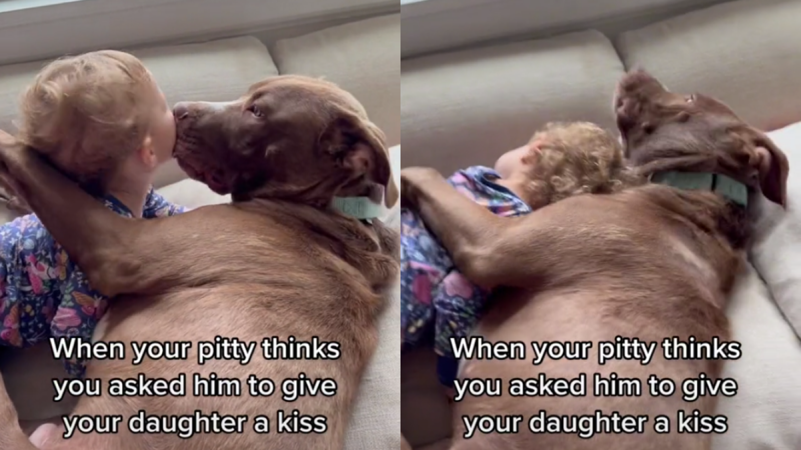 Pit Bull Gives Toddler Kiss and Cuddle in Heartwarming Video: 'So Cute'