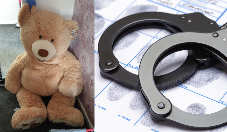 Car theft suspect discovered inside teddy bear