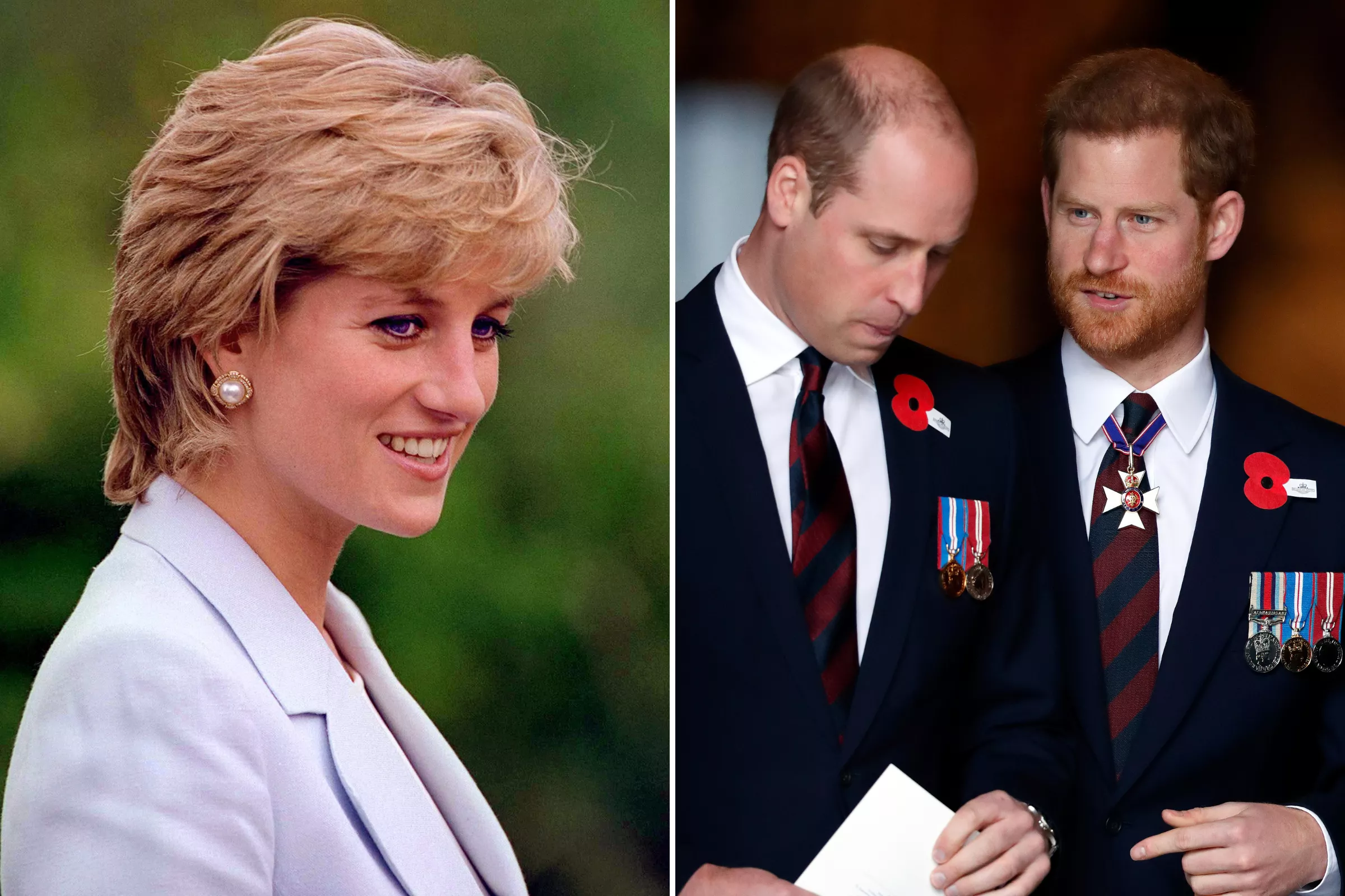 Princess Diana Was 'a Mother at Odds With the Crown'—James Patterson - Vimarsana News