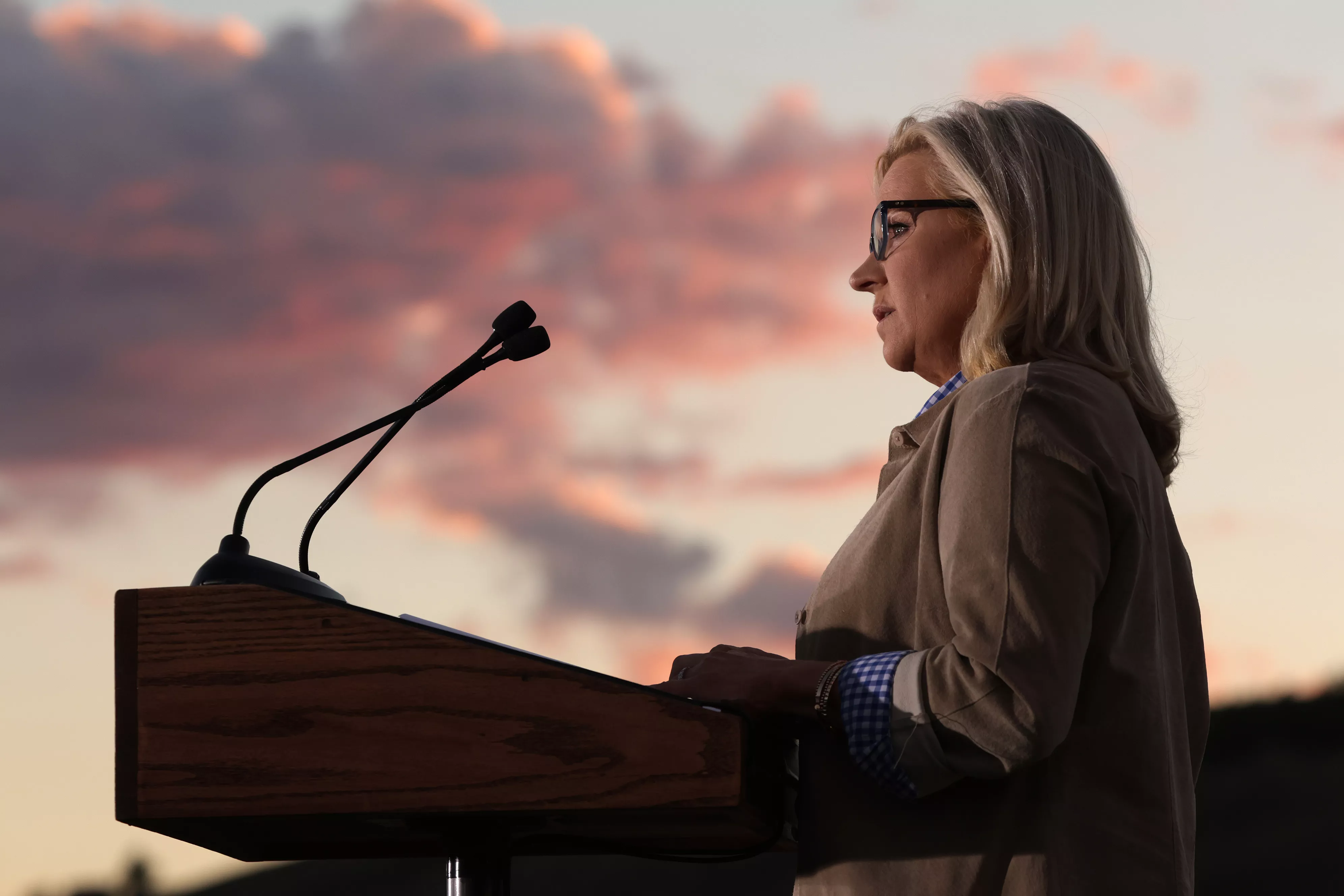 Read Liz Cheney's Concession Speech as Congresswoman Ousted in Wyoming - Vimarsana News
