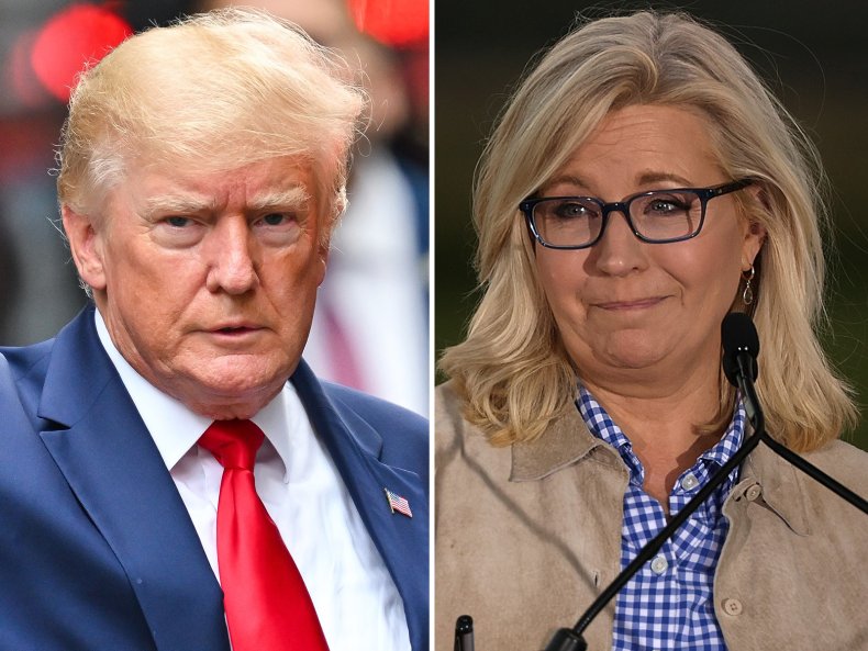 Donald Trump and Liz Cheney