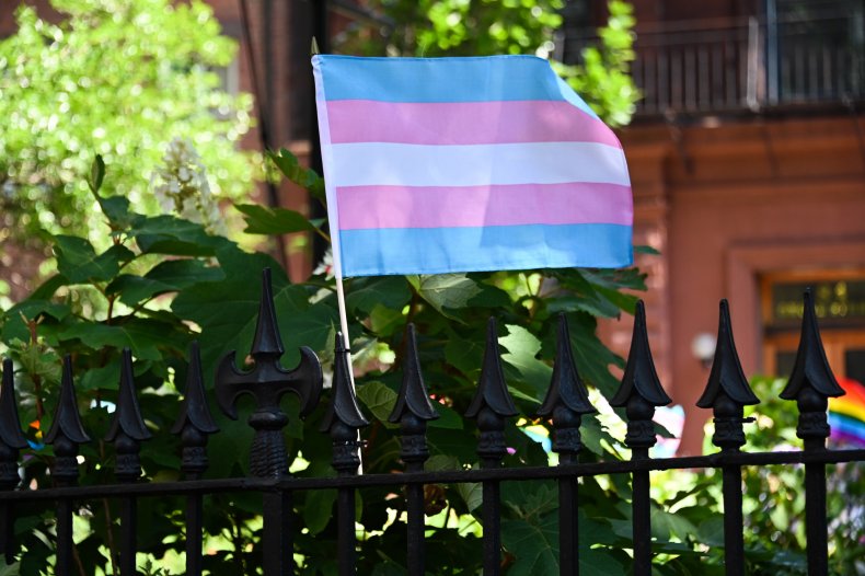 The transgender flag is seen 