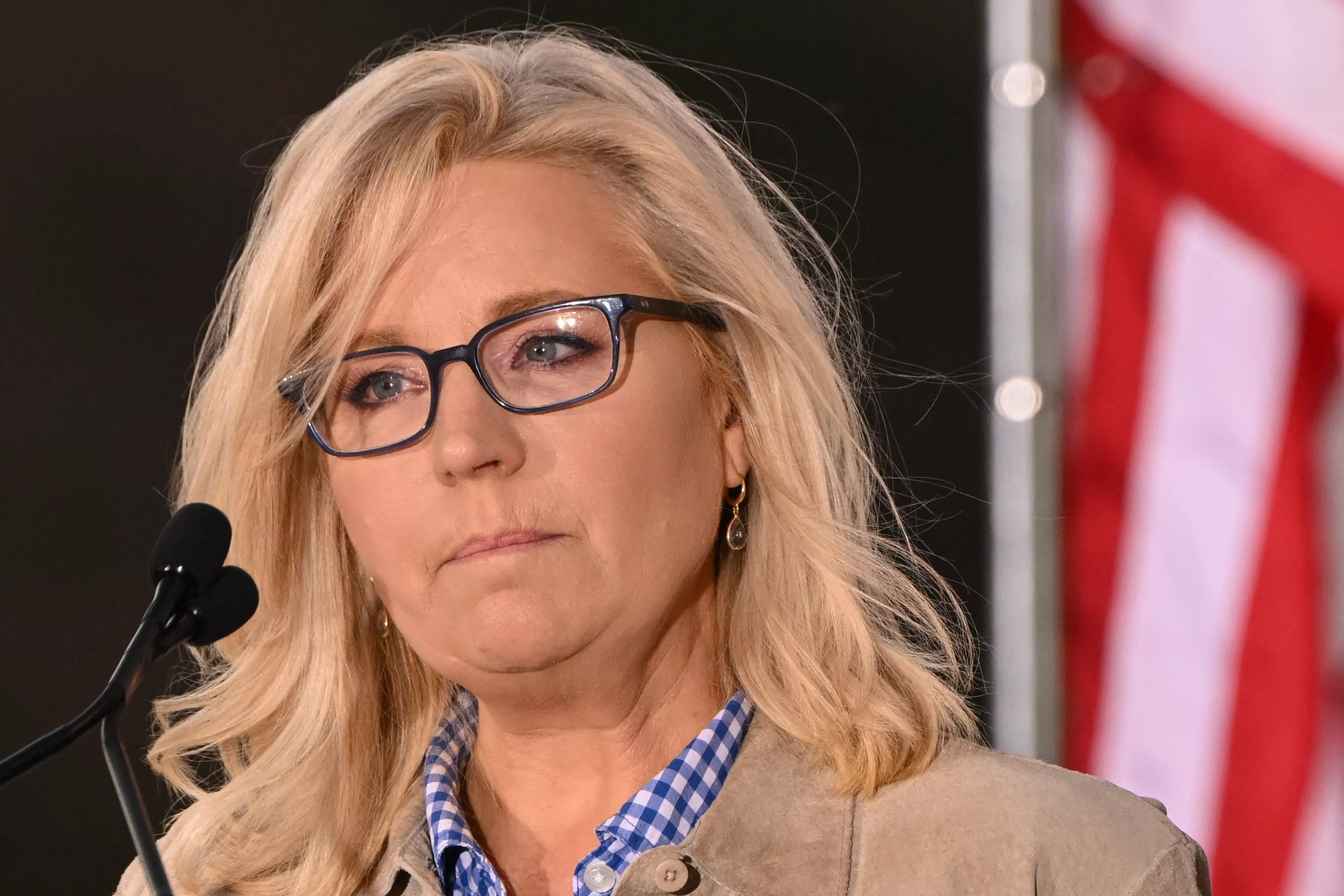 The Real Test of Wyoming's GOP Wasn't Liz Cheney - Vimarsana News