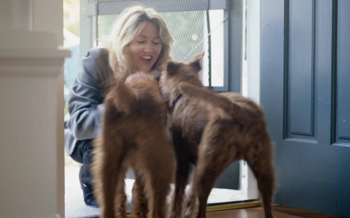 A woman being greeted by two dogs.