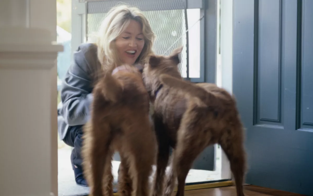 Video of Dogs Seeing Owner After 18 Months Away Has Viewers 'Sobbing' - Vimarsana News