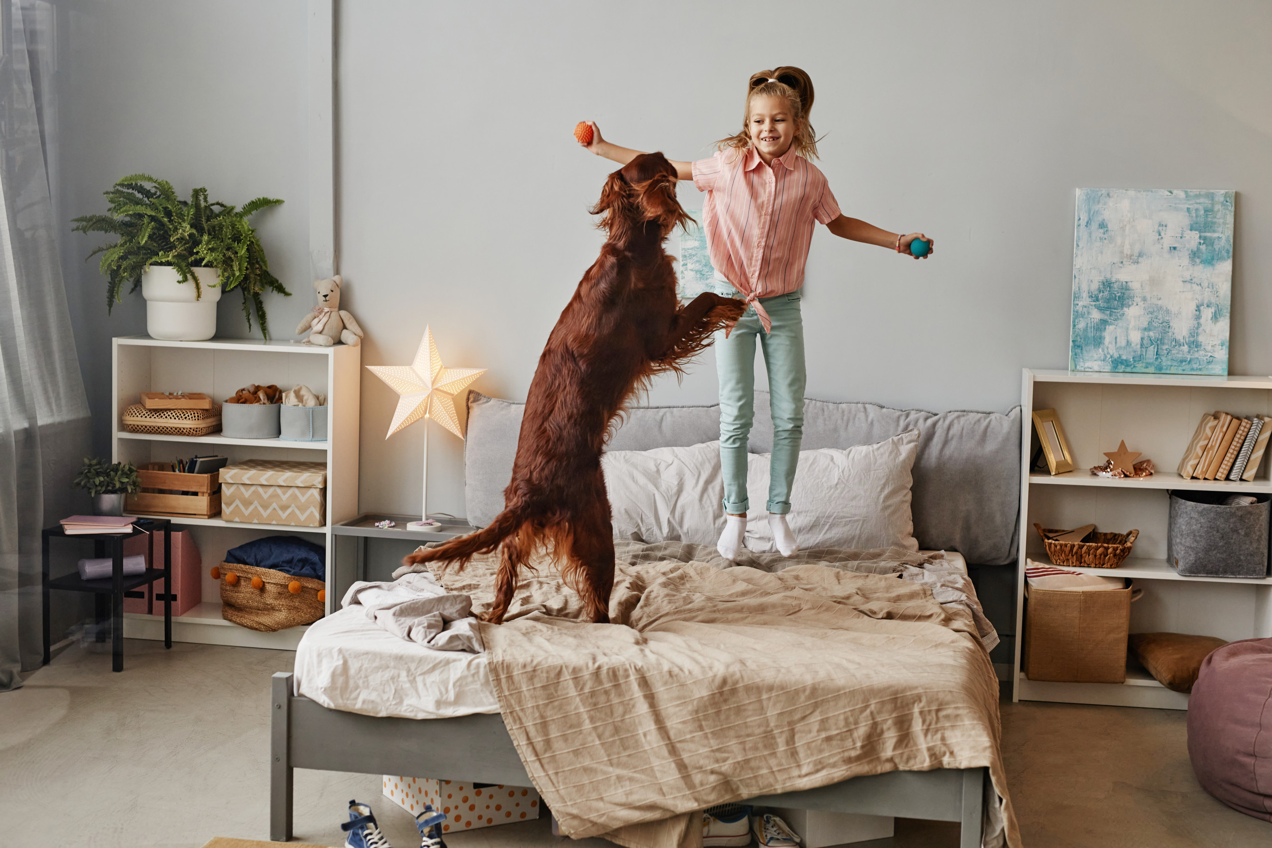 Как отучить собаку прыгать на кровать когда нет дома
