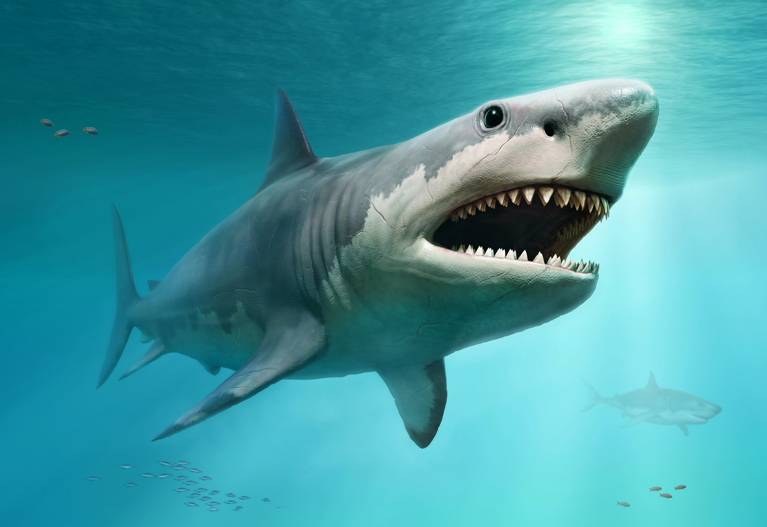 Riesiger Megalodon-Zahn in North Carolina entdeckt: „Das Ding ist verrückt“  | The Aktuelle News