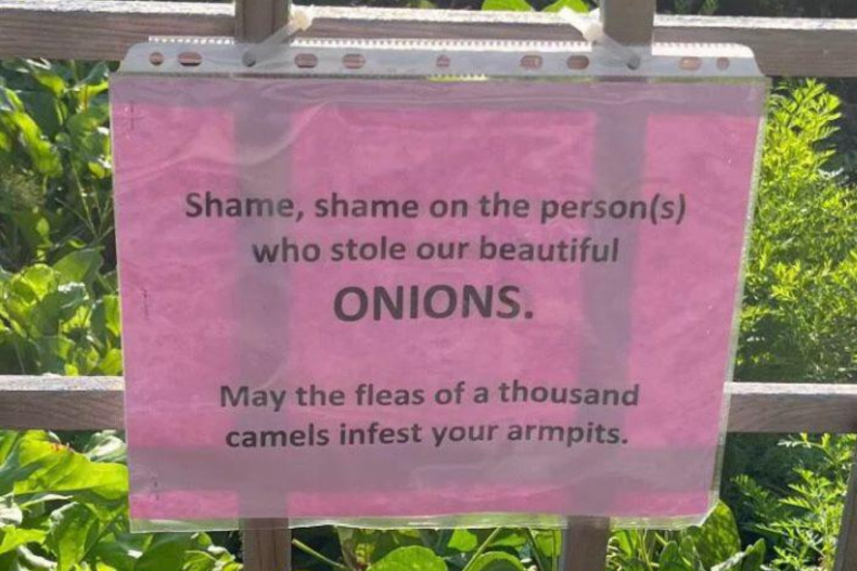 Onion sign in community garden