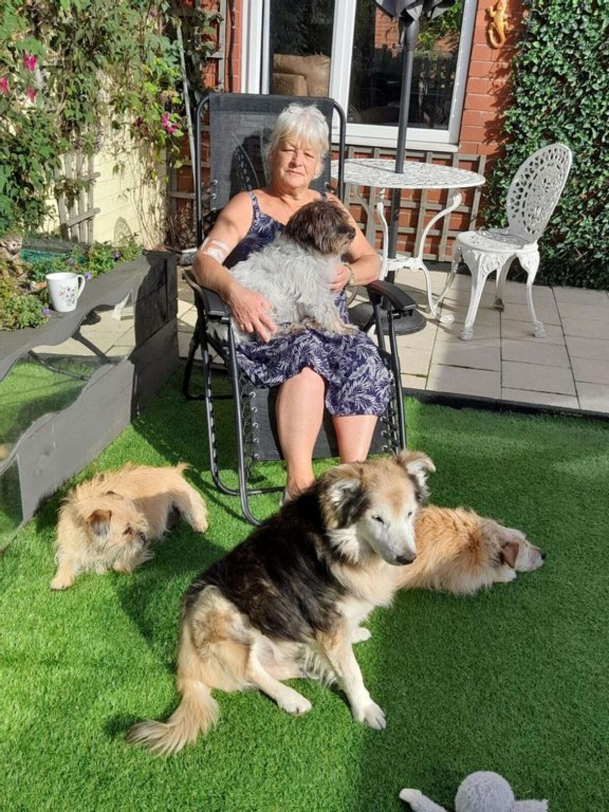 Woman Forced To Put Down Pet Dogs After Catching Rare Disease From Rescue