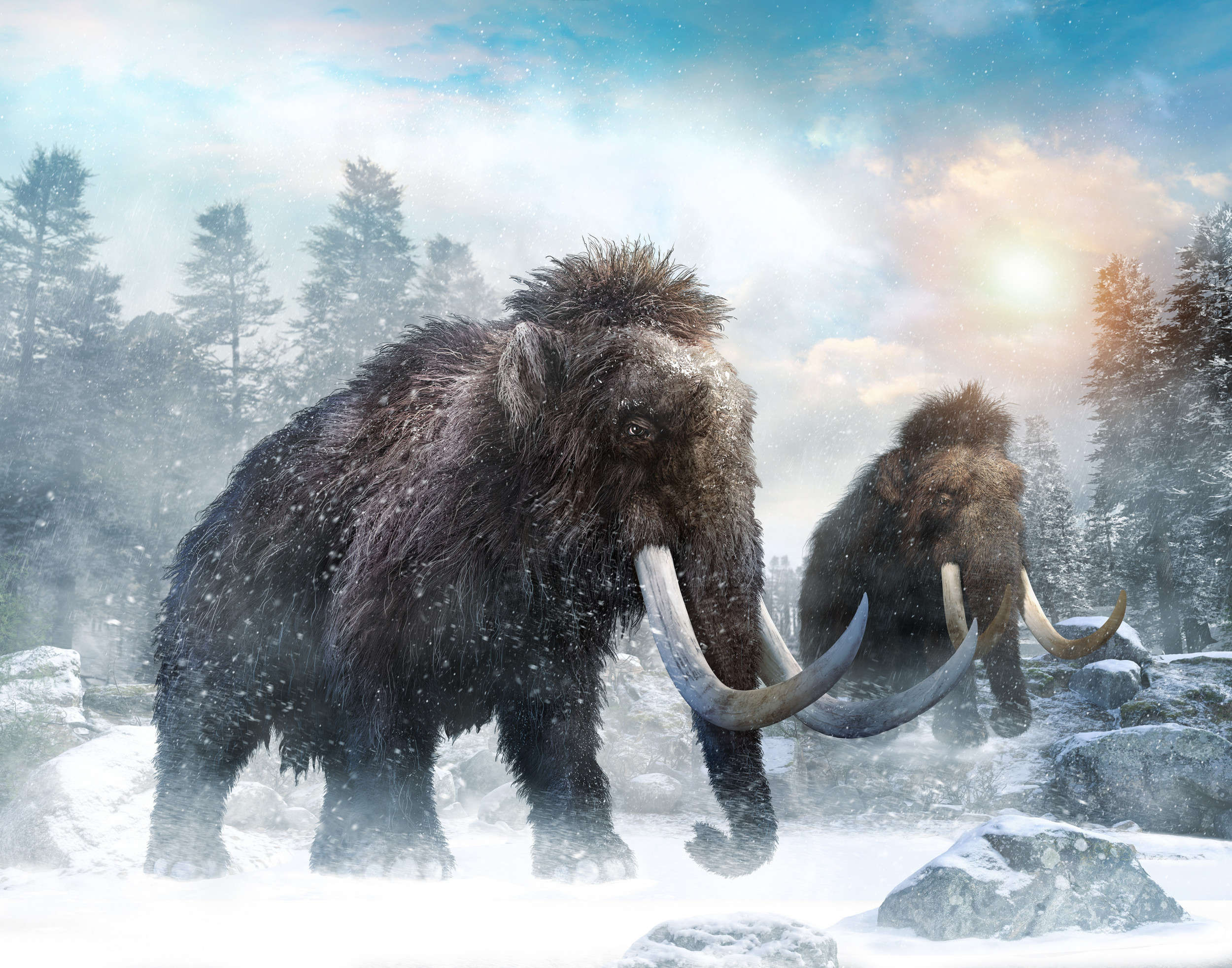 The Man Who Wants To Release Thousands Of Wooly Mammoths Into The The Man Who Wants To Release Thousands Of Wooly Mammoths Into The