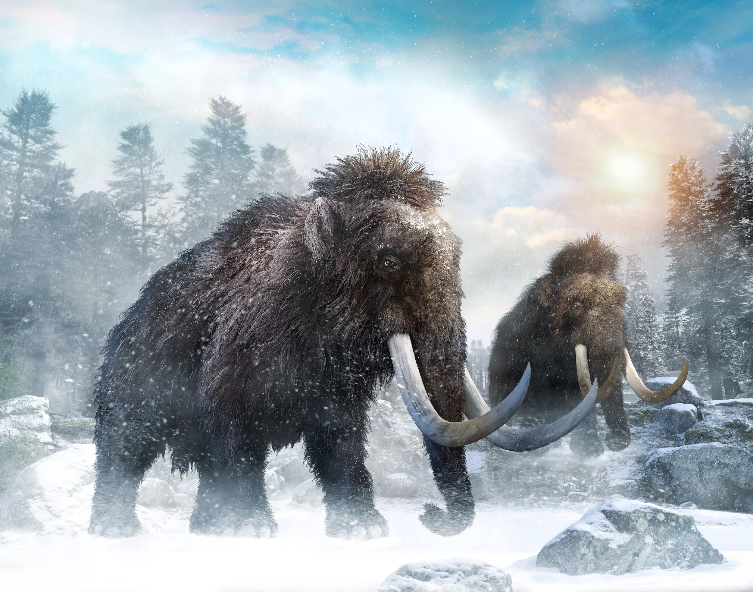 The Man Who Wants To Release Thousands of Wooly Mammoths Into the Arctic - Vimarsana News