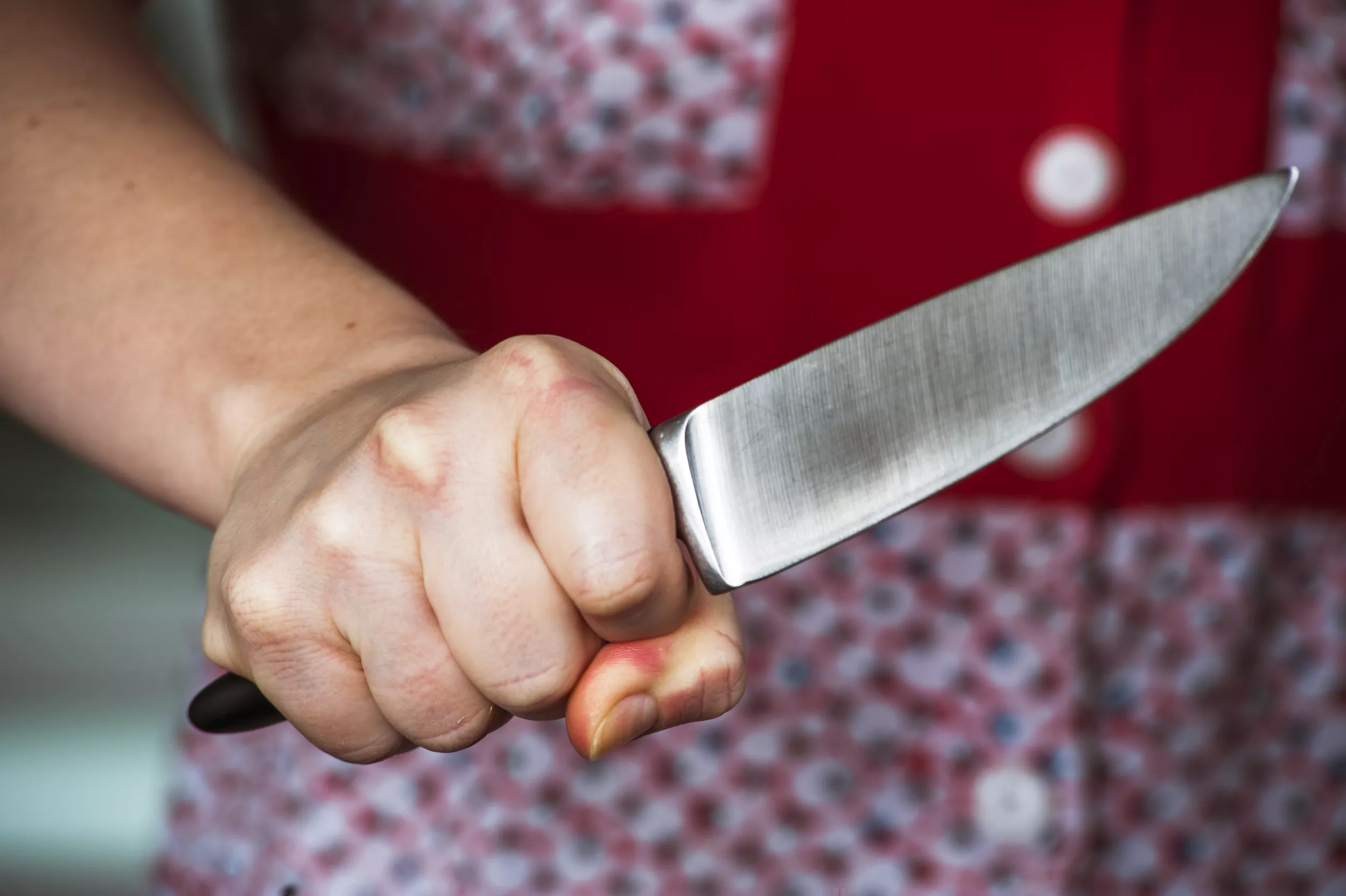 Woman Cut Off Boyfriend's Penis After He Allegedly 'Attacked' Her Daughter - Vimarsana News