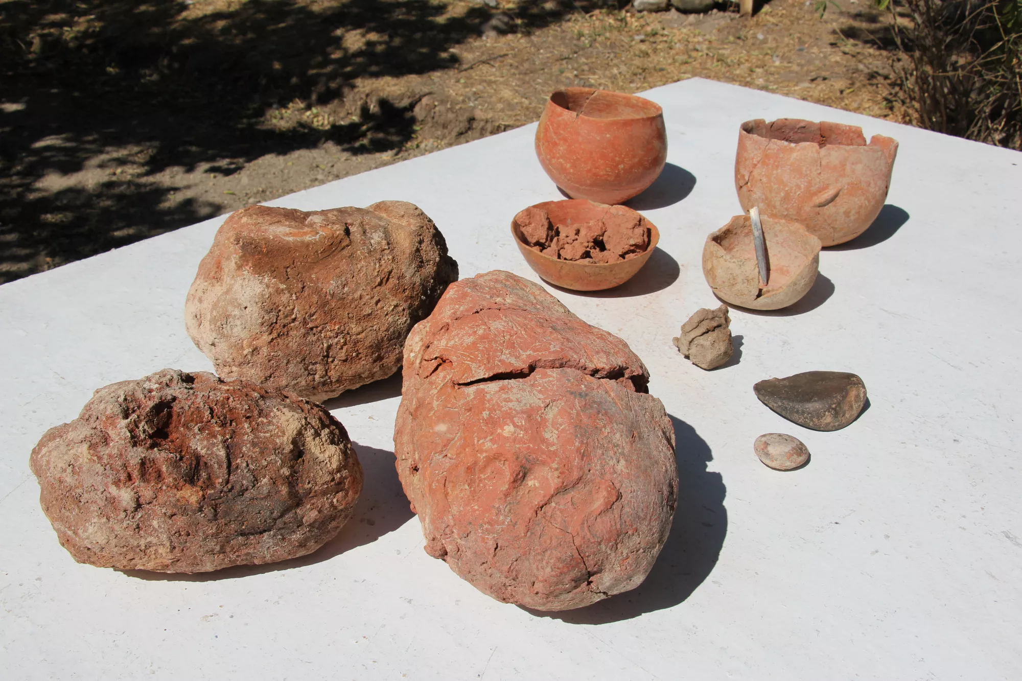 Fingerprints on Ceramics Dating Back 8,000 Years Uncovered - Vimarsana News