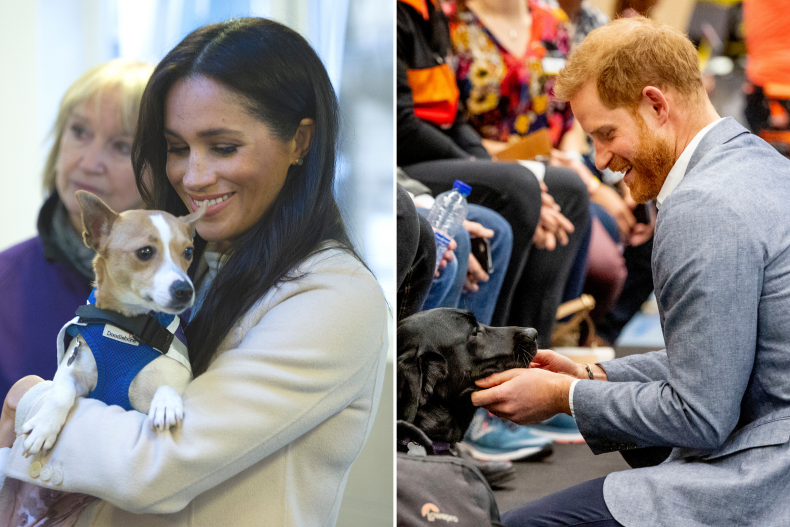 Prince Harry and Meghan Markle With Dogs
