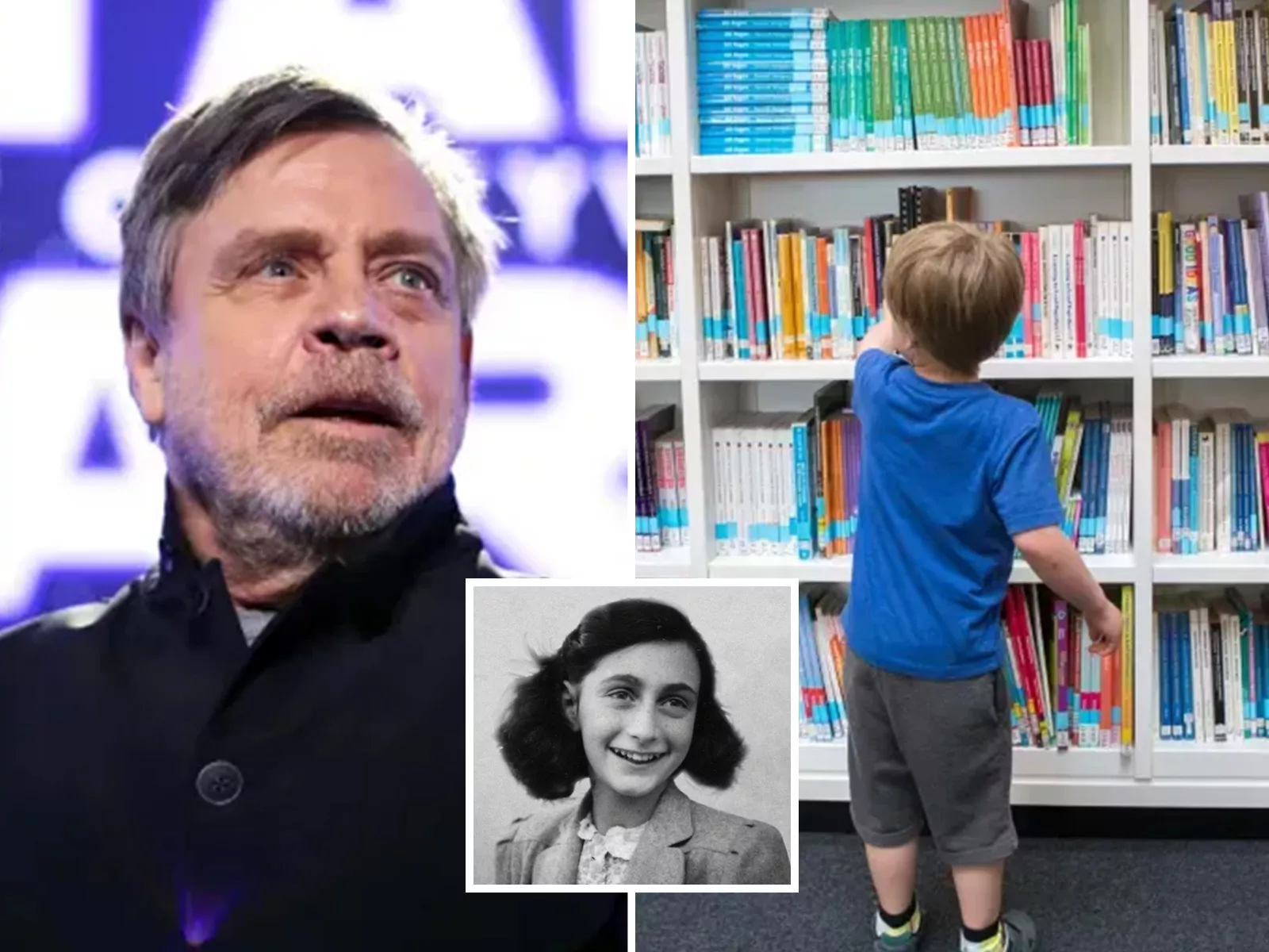 Fact Check: Star Wars' Mark Hamill Shares Florida 'Banned Book List' - Vimarsana News