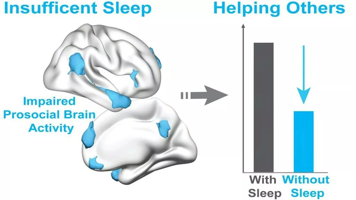 Lack of Sleep Makes People More Selfish, Study Suggests - Vimarsana News