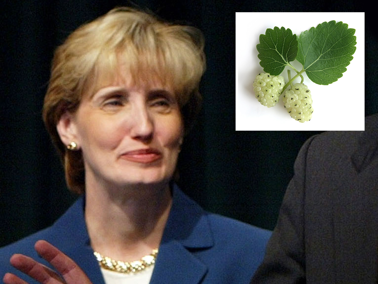 How Did Herbal Remedy Kill Lori McClintock?