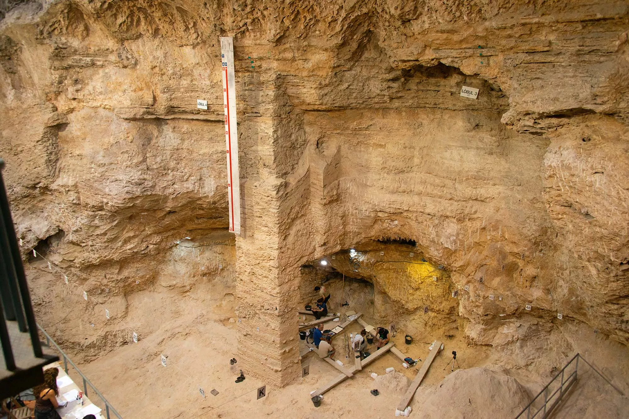 Neanderthal Skull Reveals Secrets of Ancient Community - Vimarsana News
