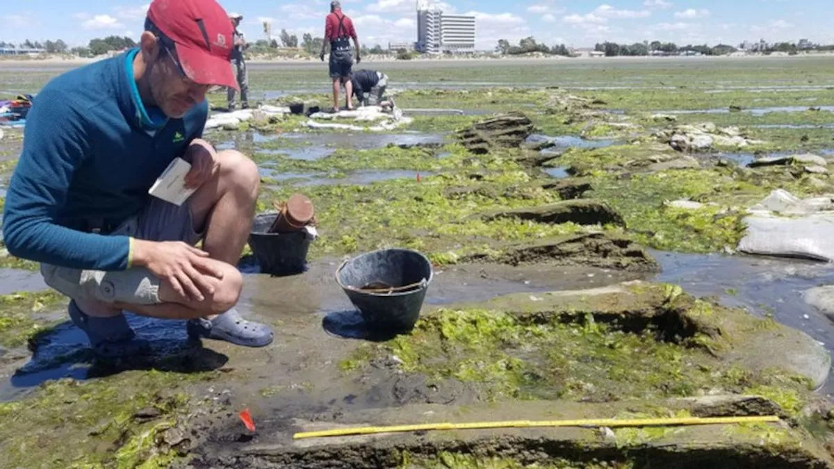 Long-Lost American Shipwreck Identified By Analyzing Timbers - Vimarsana News