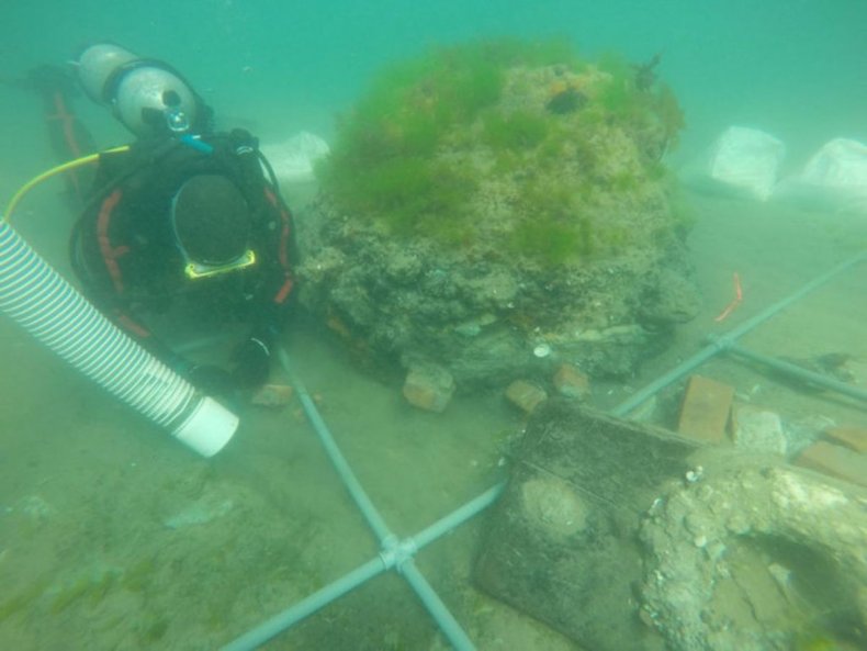 Dolphin shipwreck off Argentina