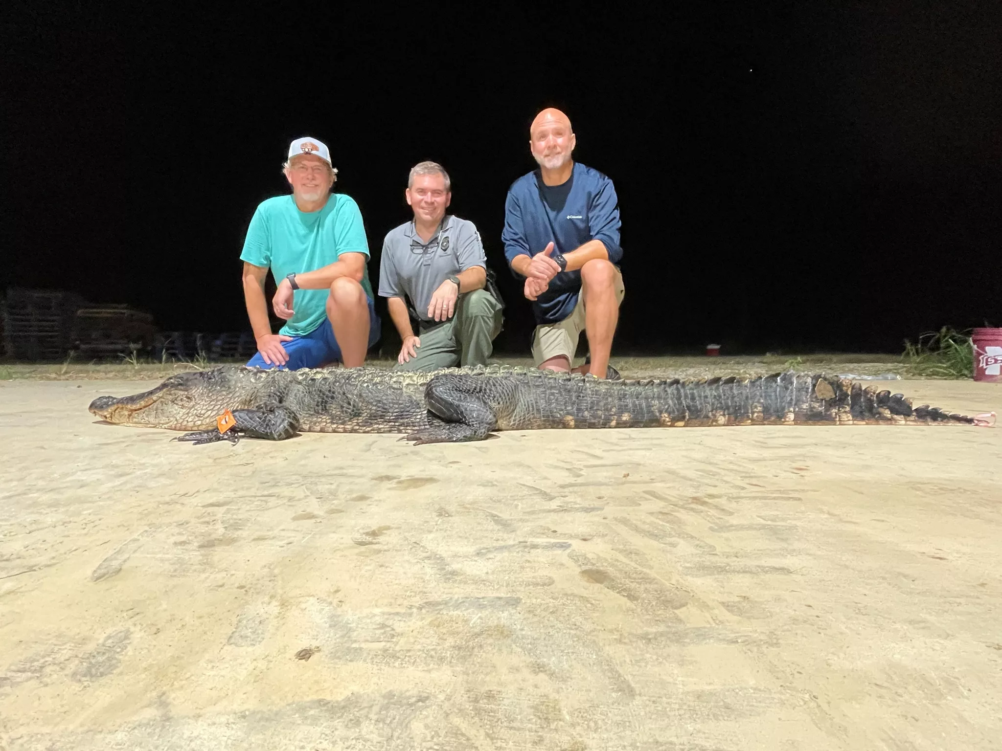 Legendary Alligator Is Biggest Caught in Mississippi, May Be 100 Years Old - Vimarsana News