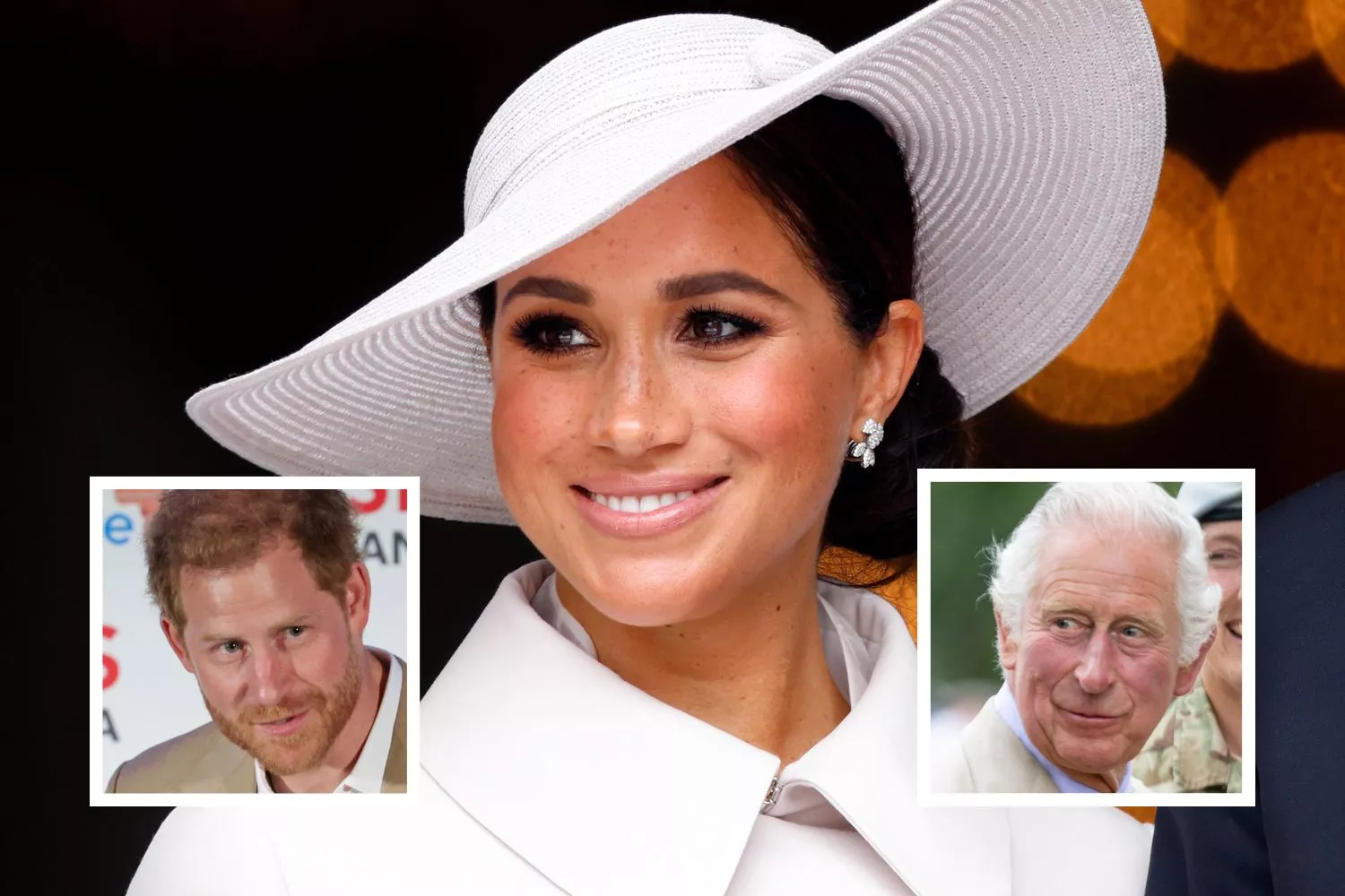 Meghan Markle 'Doesn't Want Harry to Lose' Prince Charles—Author - Vimarsana News