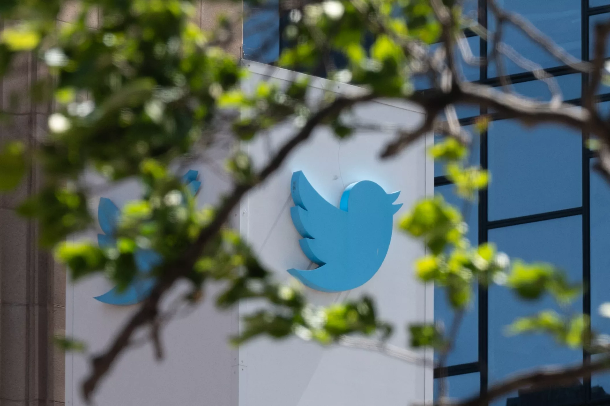 What Is Twitter Circle? What Users Can, Can't Share With New Feature - Vimarsana News