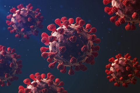 FE Old Diseases 02 BANNER