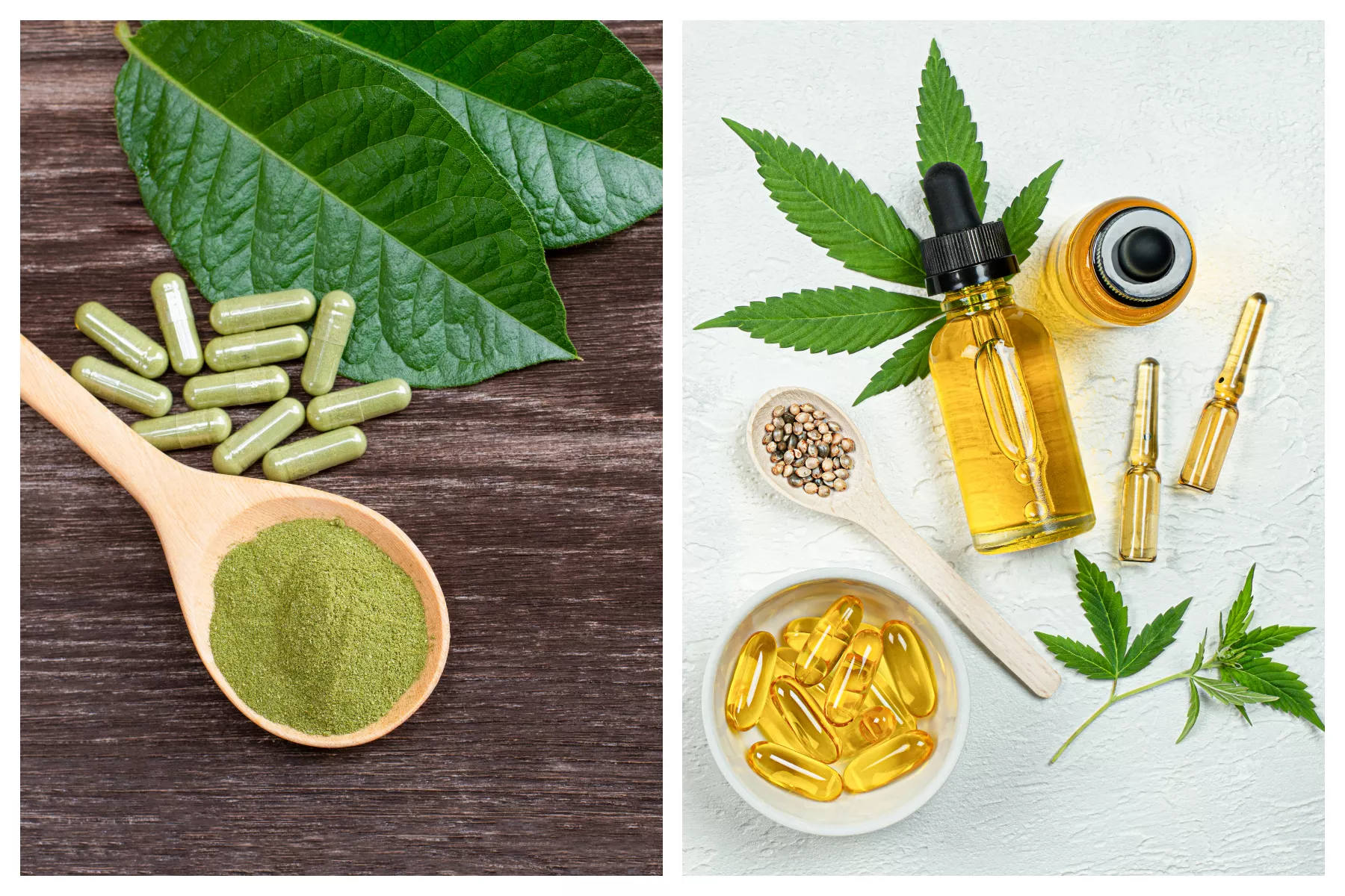 Kratom vs. CBD: Key Differences Between the Herbal Drugs Taking Over U.S. - Vimarsana News