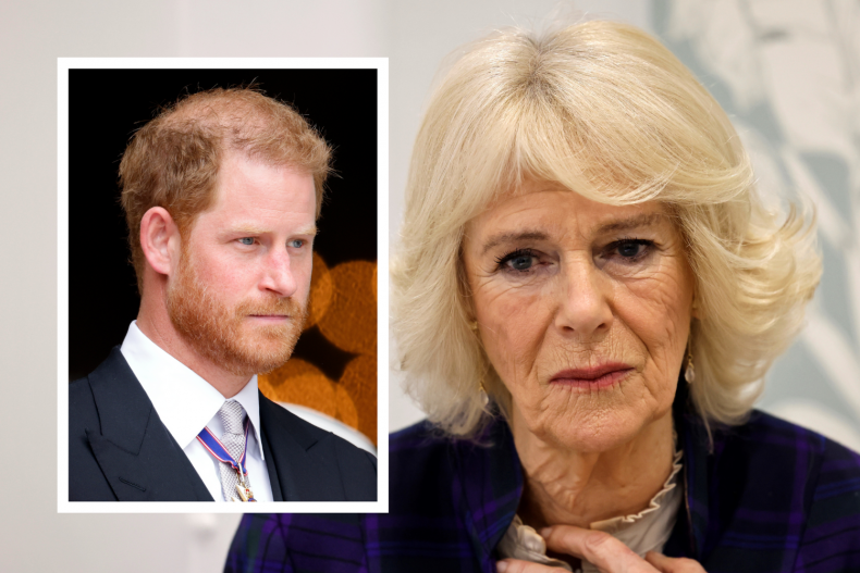 His Duchess Is A Ghost Camilla 'Lives in Dread' of Harry Memoir as 'Diana's Ghost Still Rattles'