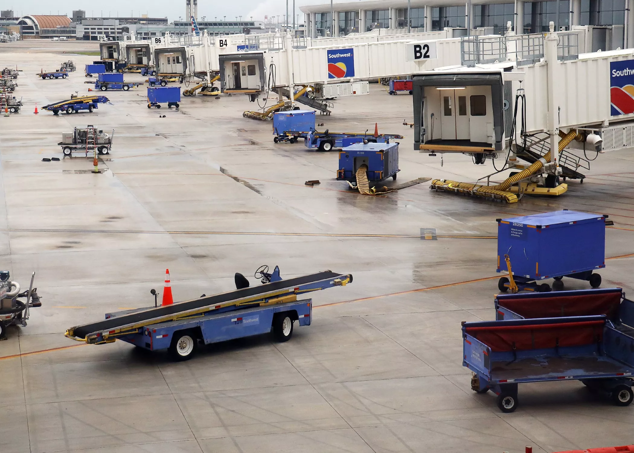 Airport Baggage Handler Killed After Her Hair Was Caught in Belt Loader - Vimarsana News