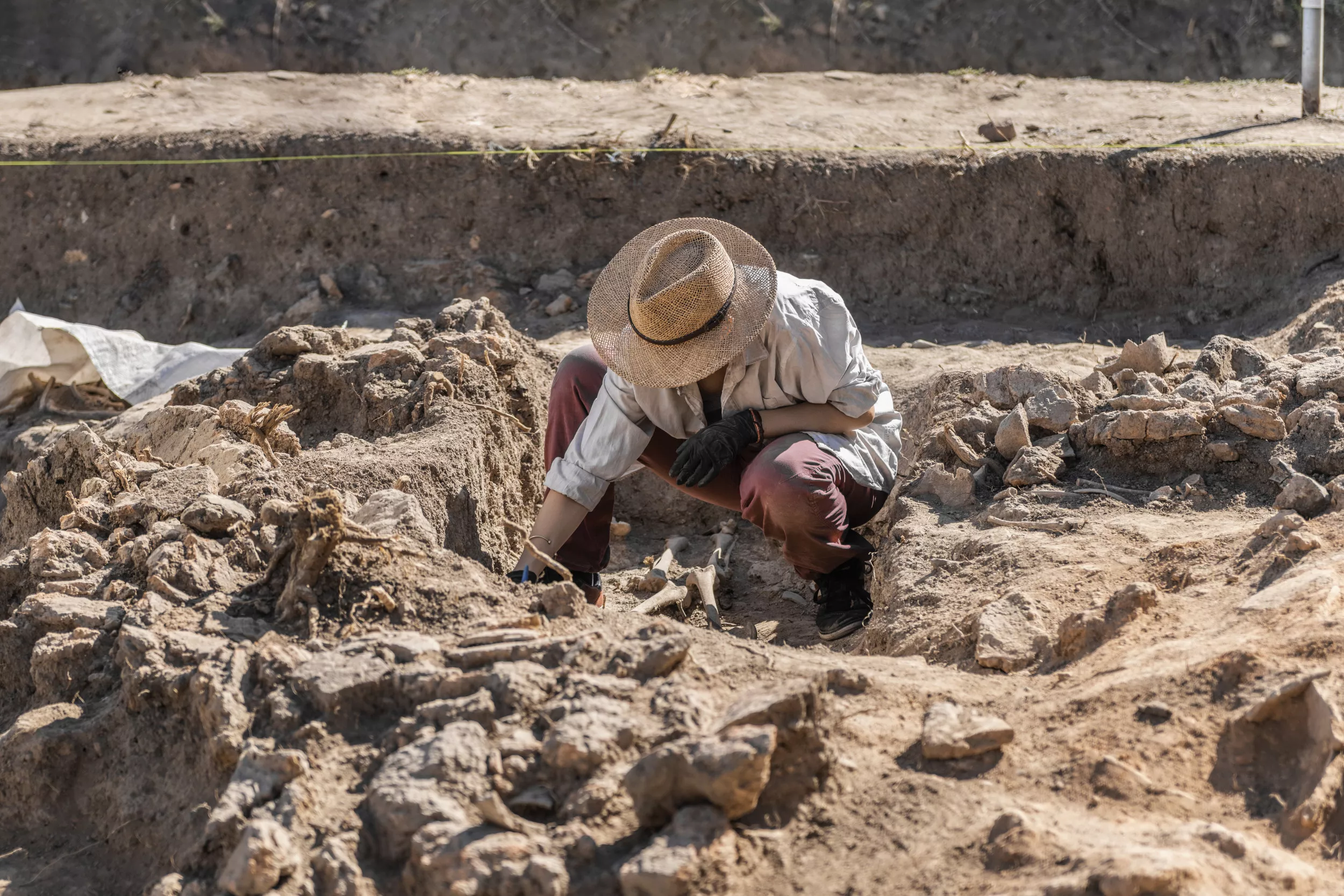 Giant Fortress Found Beneath Mega-monument From Time of Alexander the Great - Vimarsana News