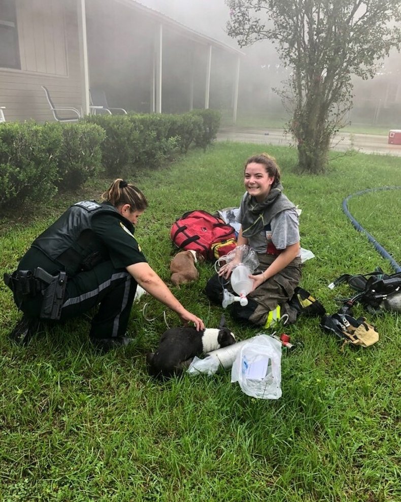 Fire rescue helping puppy