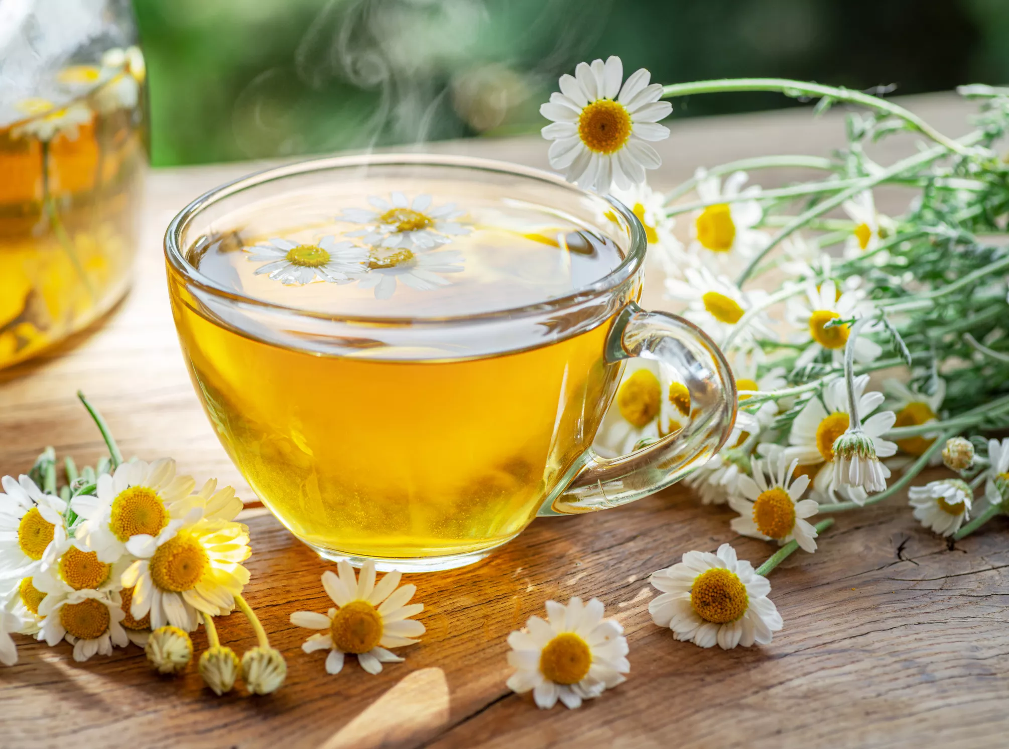 Tea: The Wonder Drink That Could Save Your Life - Vimarsana News