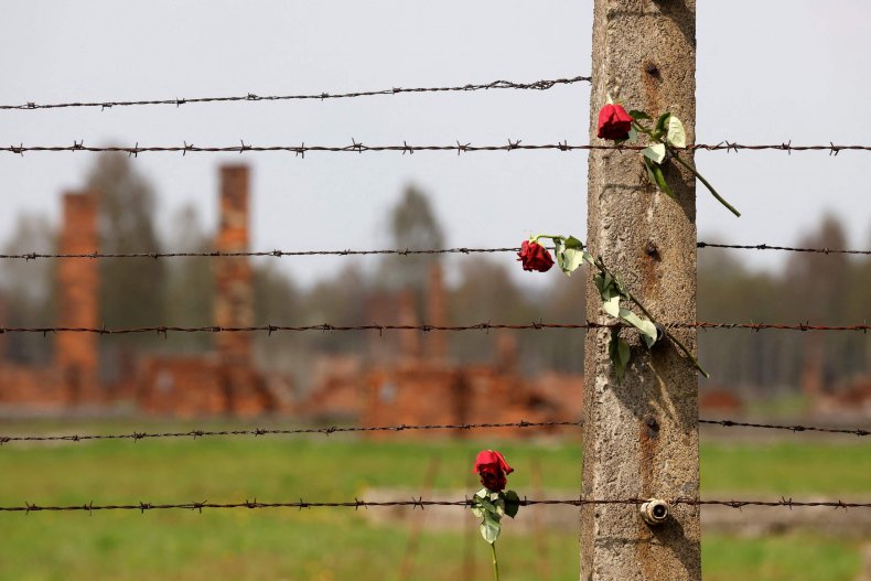 Dried roses on fence at Auschwitz