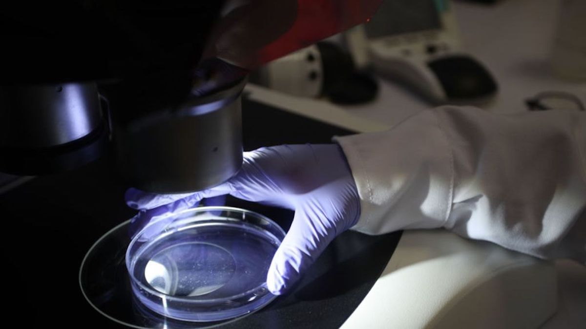 Bacteria for New Antibiotics Found in Chilean River