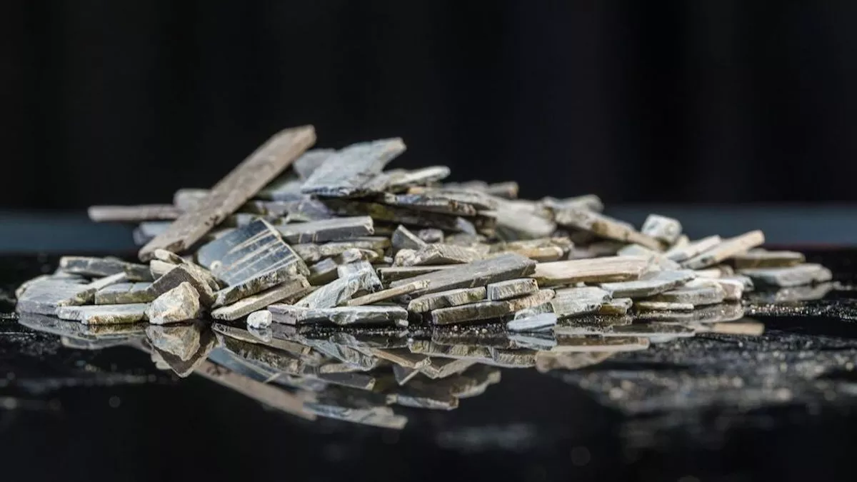 Throne Ivory Worth More Than Gold Discovered in Jerusalem - Vimarsana News