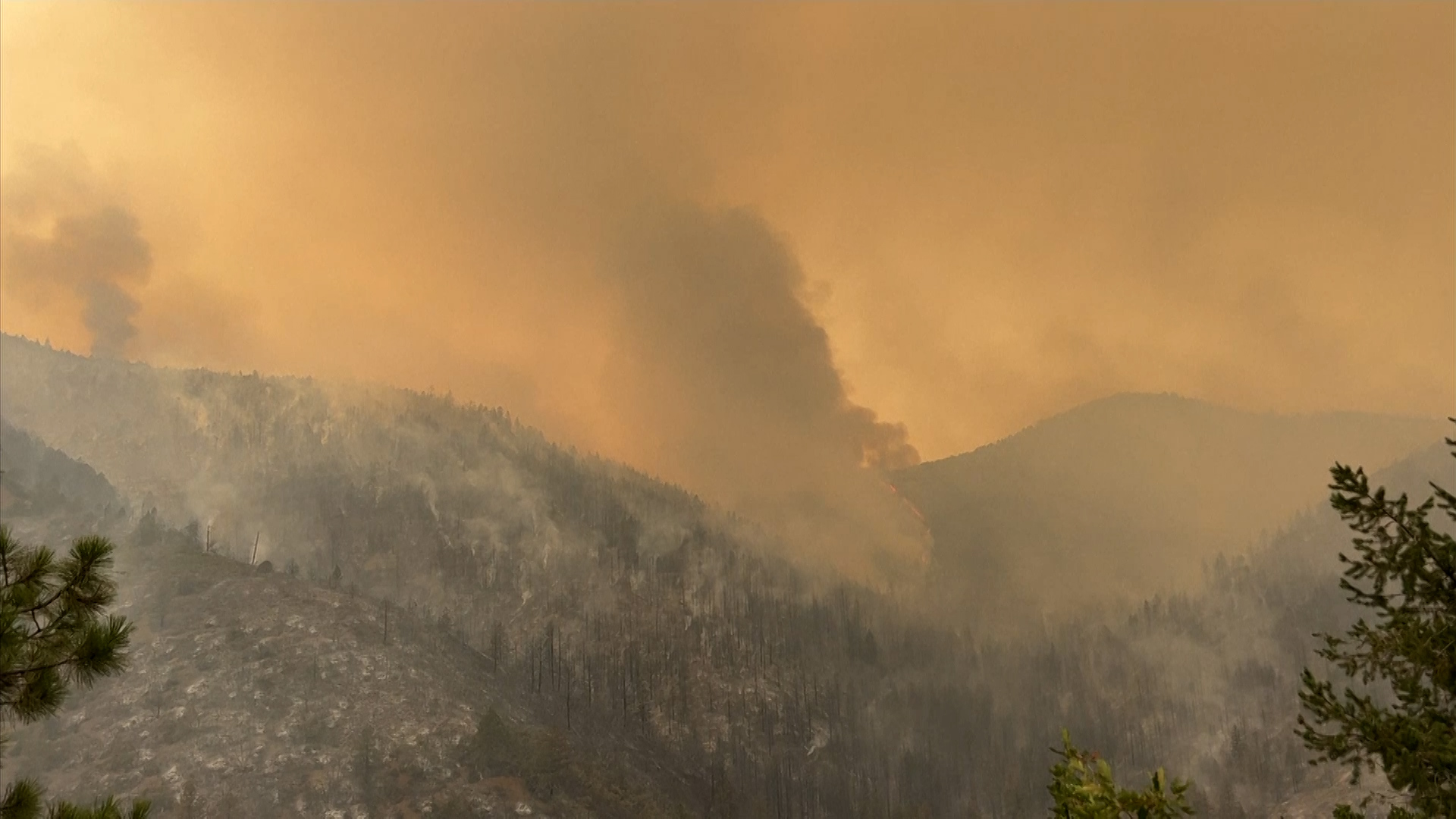 California Wildfires, Blackout Fears Create Conflict for Electric Car Users