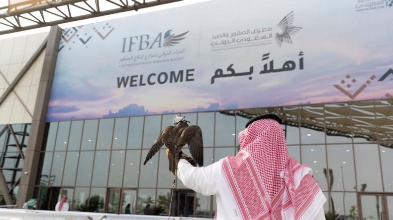 Falconer at Saudi Arabia exhibition