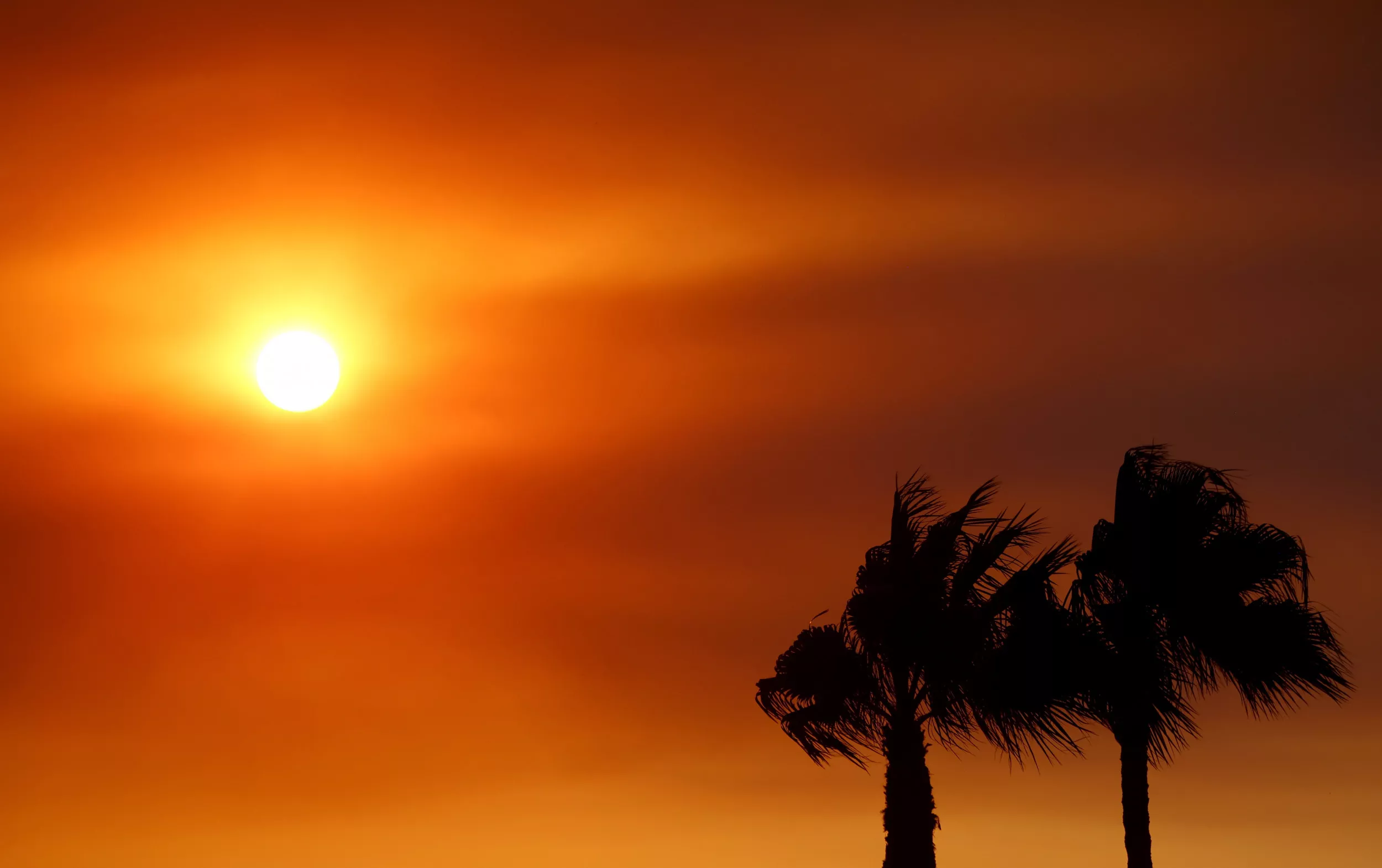California Wildfire Update: Out-of-Control Mosquito Fire Forces Evacuations - Vimarsana News