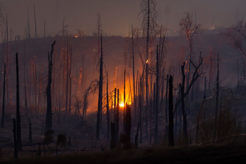 Climate Change Could Increase Insurance Premiums