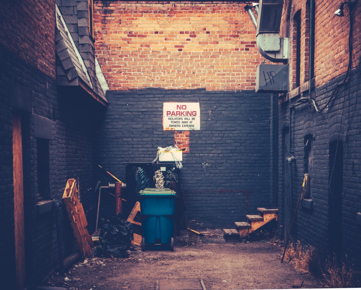 https://d.newsweek.com/en/full/2112519/new-york-alley.jpg?w=1200&f=684648f44add85d34abc7b4d2593f94d