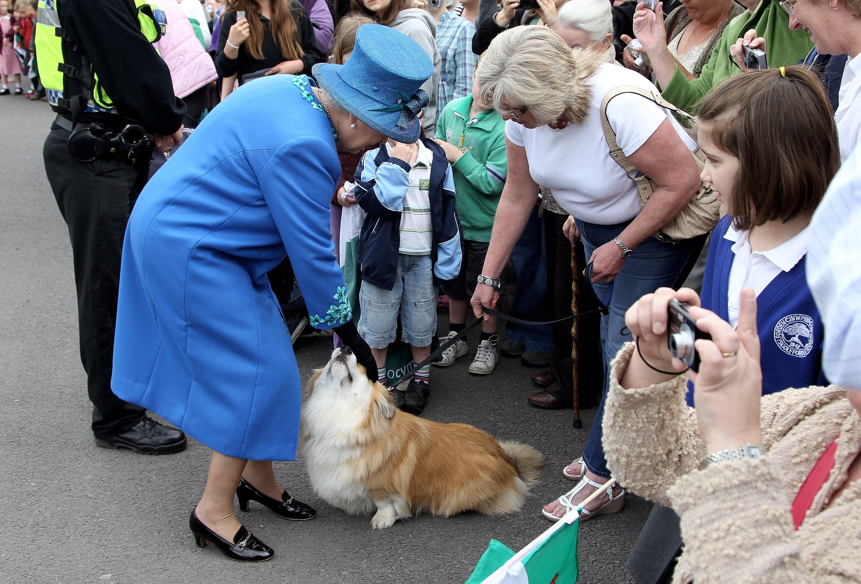 how many corgis has the queen