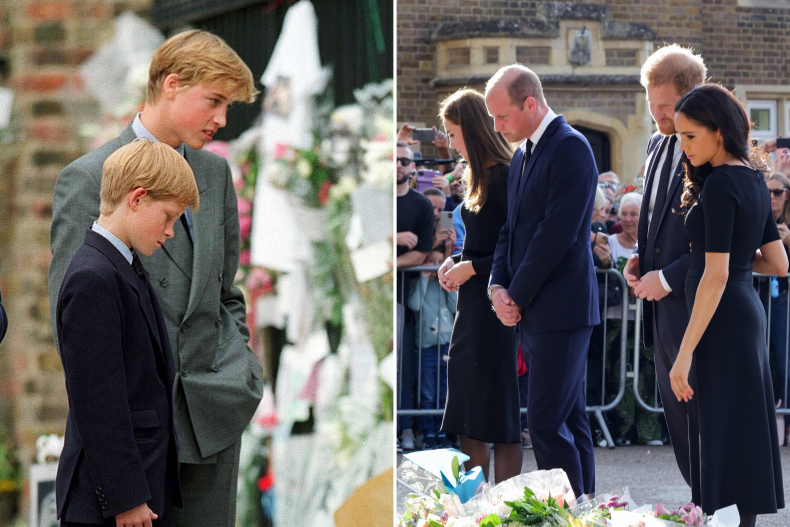Princes William and Harry Tributes Echo Diana