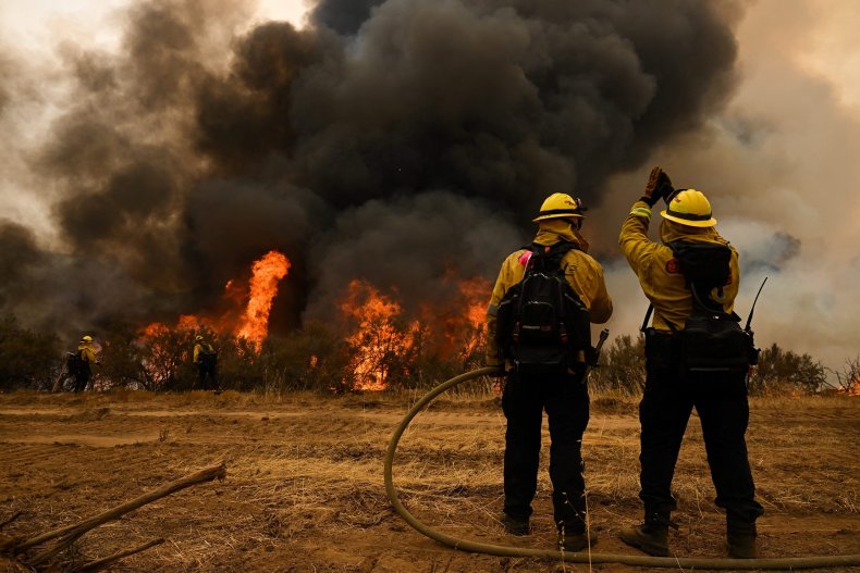 Firefighters