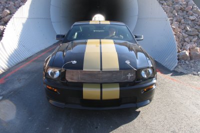 Fifth-generation Ford Mustang Shelby GT-H Fifth-generation Ford Mustang Shelby GT-H