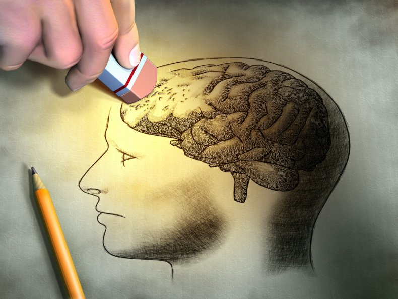 Brain drawing