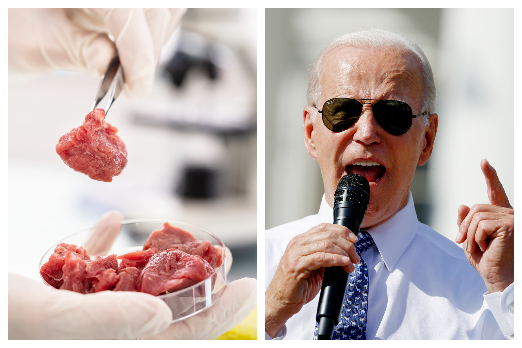 Biden Backs Lab Grown Meat Newsweek
